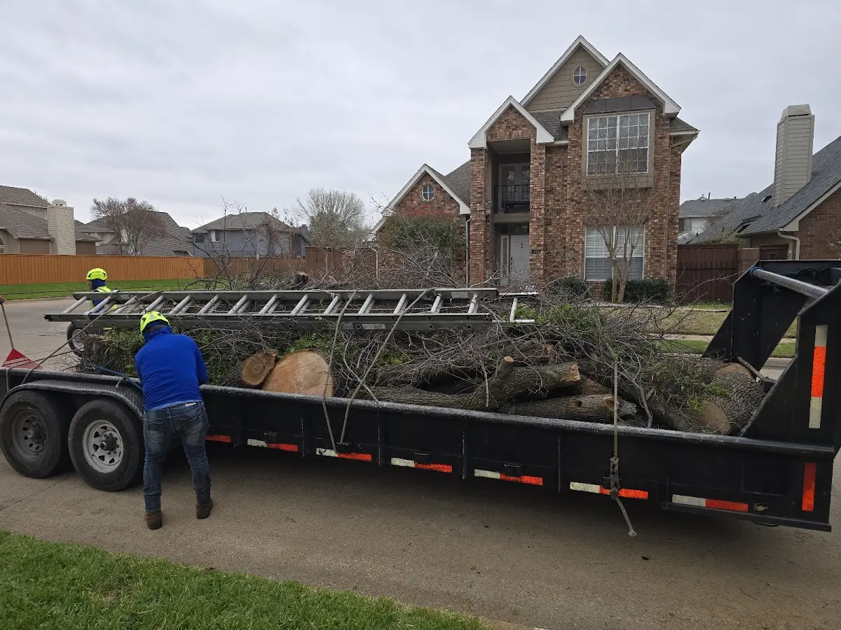 Expert Tree Pest Control with proper safety equipment in Knoxville